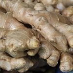 Halia (Zingeber officinale)