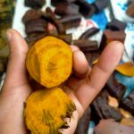 Kayu Kuning (Arcangelisia flava L.)