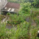 Sangga Langit / Rincik Bumi